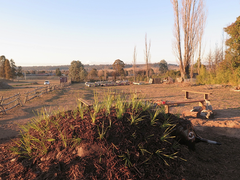 View Of In The Shadow Of A Willow Tree A Community Garden - 