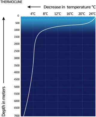 pam_1500_-_lynn_medved_griggs_figure004.png